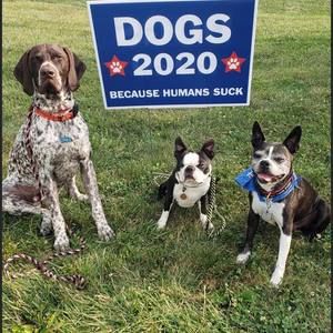 Meet your Posher, Jeannie